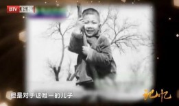 胡军妈妈爆料视频大全集,揭秘明星家庭背后的故事