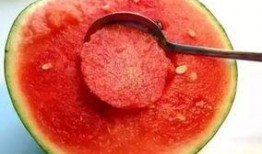 娱乐吃瓜酱玉,揭秘娱乐圈背后的故事与真相